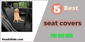 Read more about the article 5 Best seat covers for dog hair (Review & Buying Guide)