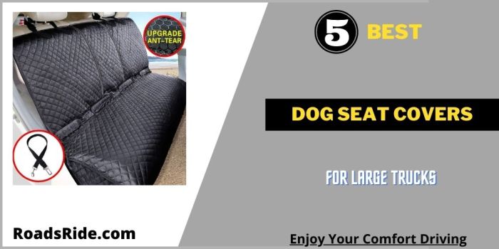 Read more about the article 5 Best dog seat covers for large trucks: Waterproof, Scratchproof, Durable