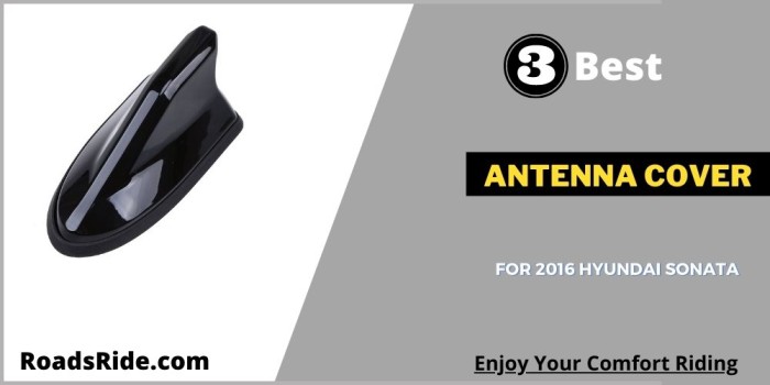 Read more about the article Top 3 Antenna cover for 2016 Hyundai sonata (Review and Buying guide)